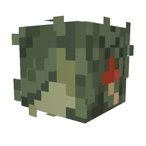 moldtooth Minecraft avatar head, 3D render