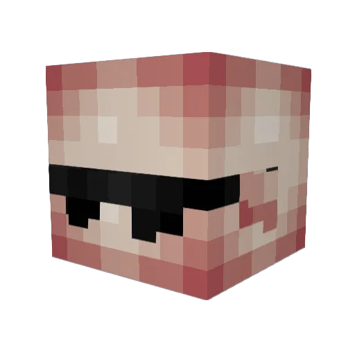 moldyapples Minecraft avatar head, 3D render