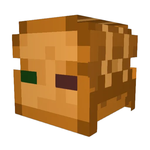 moldybread6544 Minecraft avatar head, 3D render