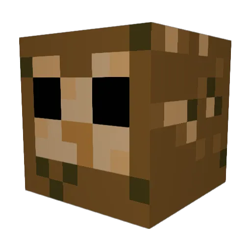 moldymop Minecraft avatar head, 3D render
