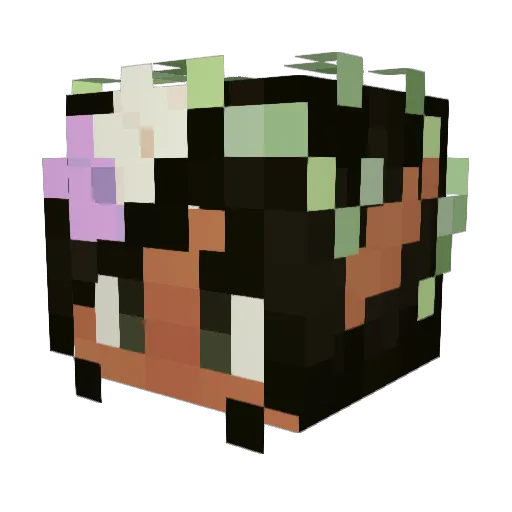 molibis Minecraft avatar head, 3D render