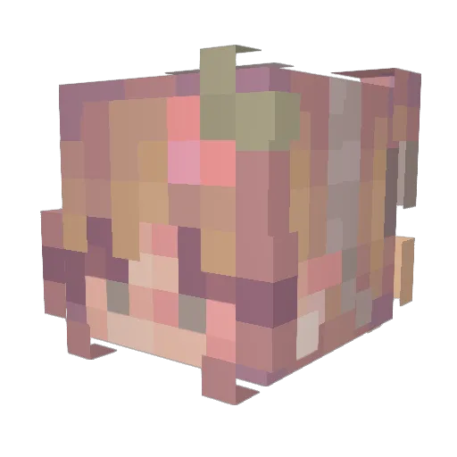 molliedied Minecraft avatar head, 3D render
