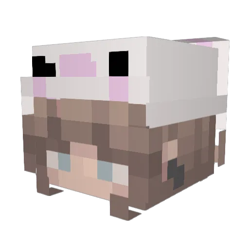 molliegrace_ Minecraft avatar head, 3D render