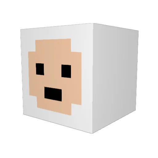 mollohan Minecraft avatar head, 3D render