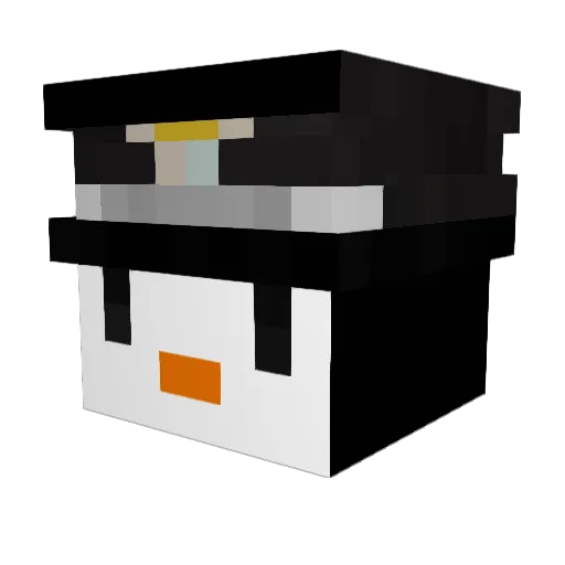 mollop07 Minecraft avatar head, 3D render