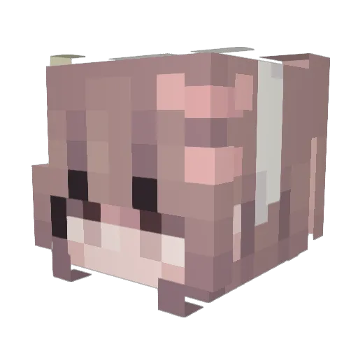 molly879 Minecraft avatar head, 3D render