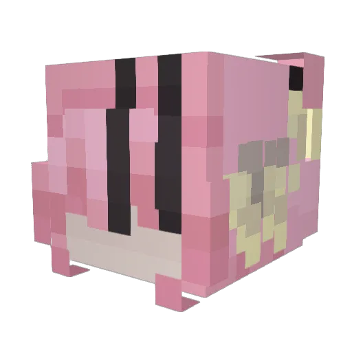 molly_bones_ Minecraft avatar head, 3D render