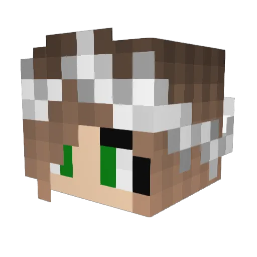 mollyb2 Minecraft avatar head, 3D render