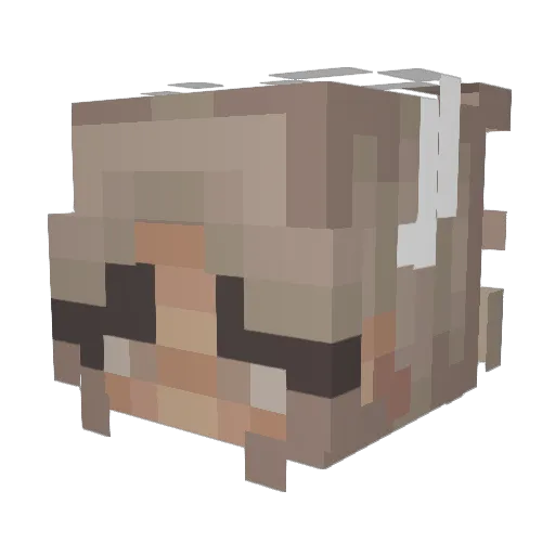 mollyellasharp Minecraft avatar head, 3D render