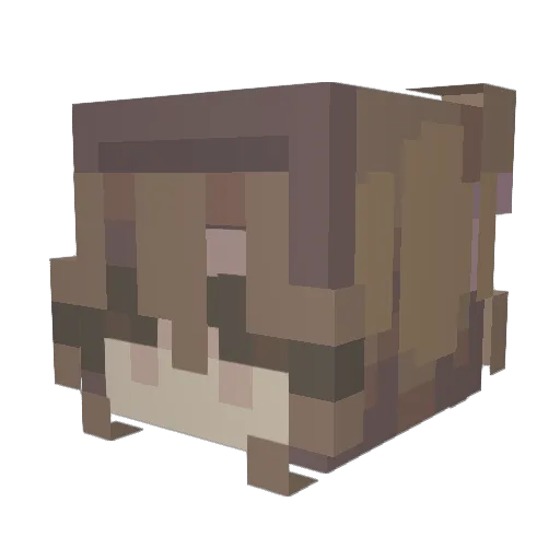 mollymay0 Minecraft avatar head, 3D render