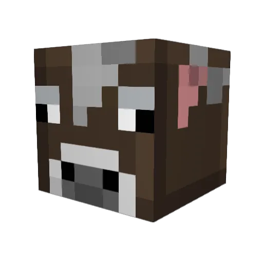 mollywookieface Minecraft avatar head, 3D render