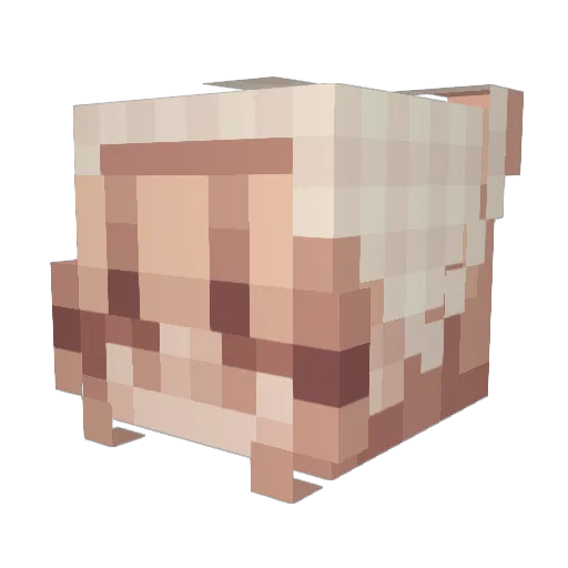 mollzsz Minecraft avatar head, 3D render