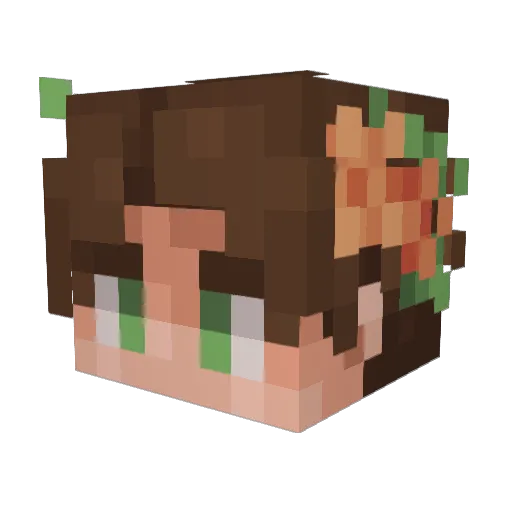 molniamacvin Minecraft avatar head, 3D render