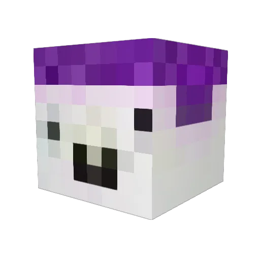 molodsov Minecraft avatar head, 3D render