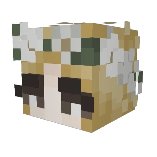 molt56 Minecraft avatar head, 3D render