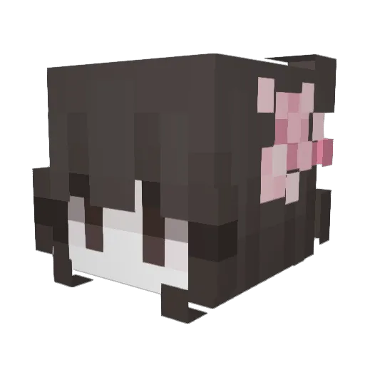 momdestroyer888 Minecraft avatar head, 3D render