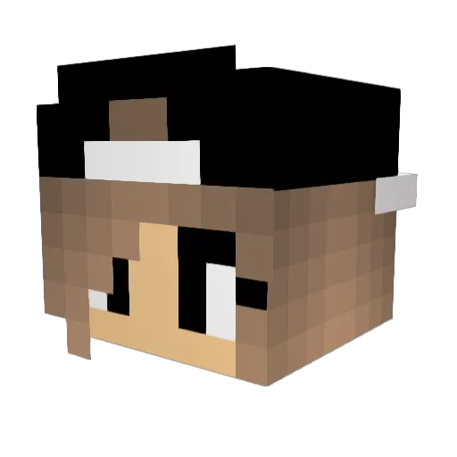 momma_minion333 Minecraft avatar head, 3D render