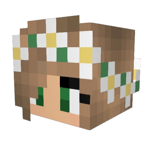 mommabear69 Minecraft avatar head, 3D render