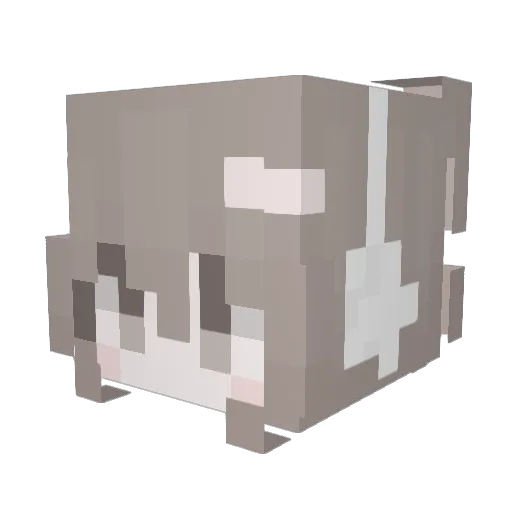 momms Minecraft avatar head, 3D render