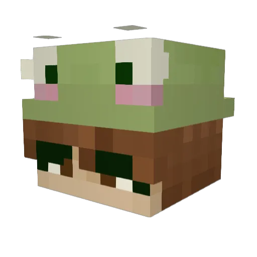 mommysquidnugget Minecraft avatar head, 3D render