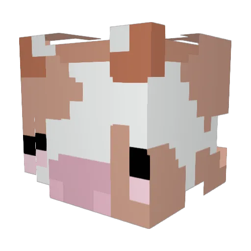 momo_rain Minecraft avatar head, 3D render