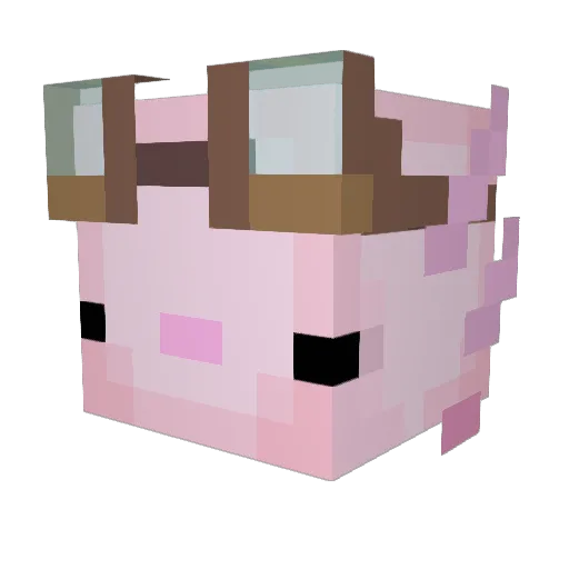 momochanuwu Minecraft avatar head, 3D render