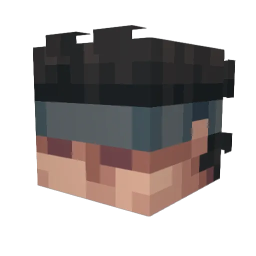 momoney209 Minecraft avatar head, 3D render