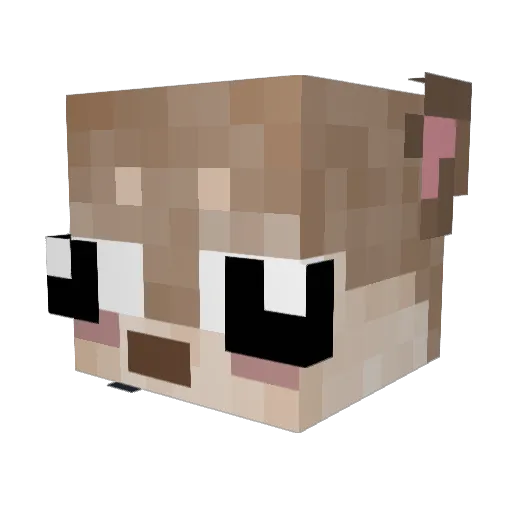 momorwm Minecraft avatar head, 3D render