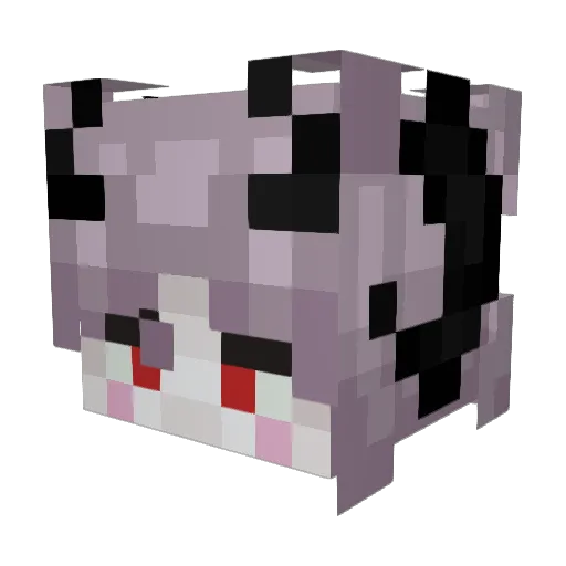mon_hobi Minecraft avatar head, 3D render