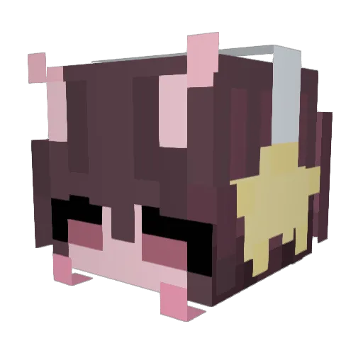 mon_in_orbit Minecraft avatar head, 3D render
