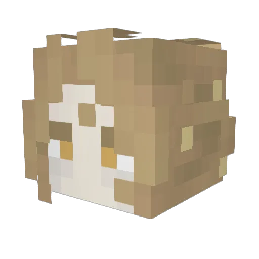 monday_lope Minecraft avatar head, 3D render