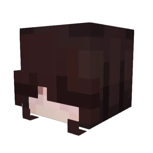 monetenhannes Minecraft avatar head, 3D render