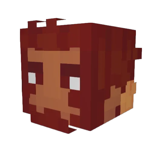 moneygill Minecraft avatar head, 3D render