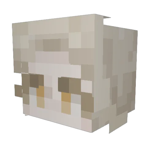 moneymagoosmc Minecraft avatar head, 3D render