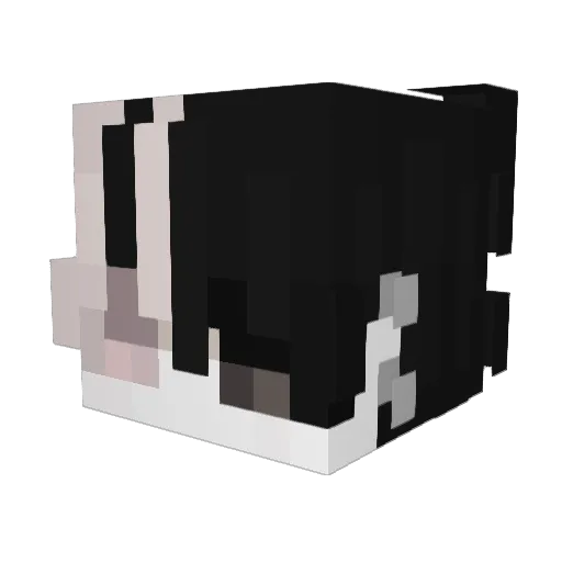 monfe22 Minecraft avatar head, 3D render