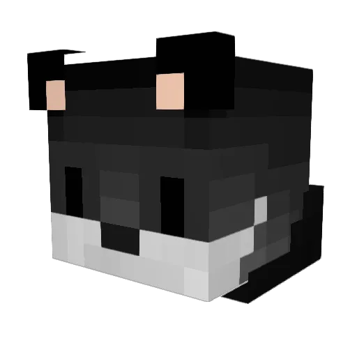 mong_22 Minecraft avatar head, 3D render