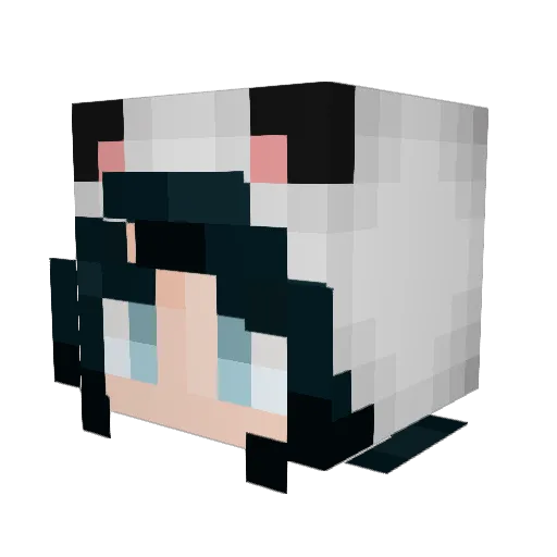 moni1668 Minecraft avatar head, 3D render