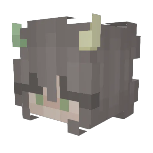 monke_shrek69 Minecraft avatar head, 3D render