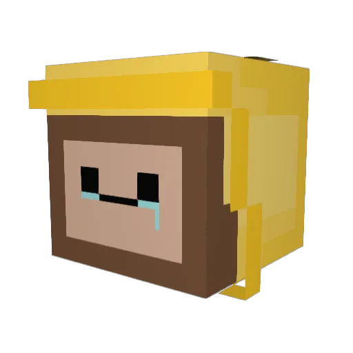 monkey_d_n_g Minecraft avatar head, 3D render