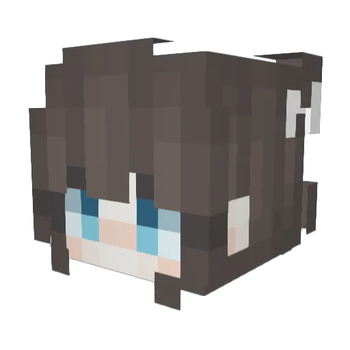 monkey_queen000 Minecraft avatar head, 3D render