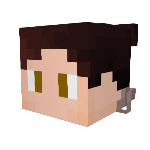 monkeyboy3346 Minecraft avatar head, 3D render