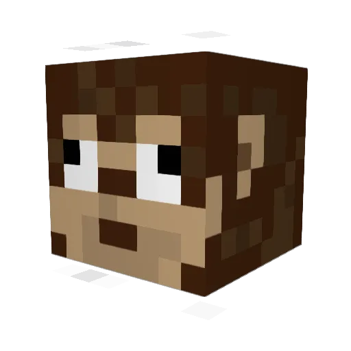 monkeyboy911 Minecraft avatar head, 3D render