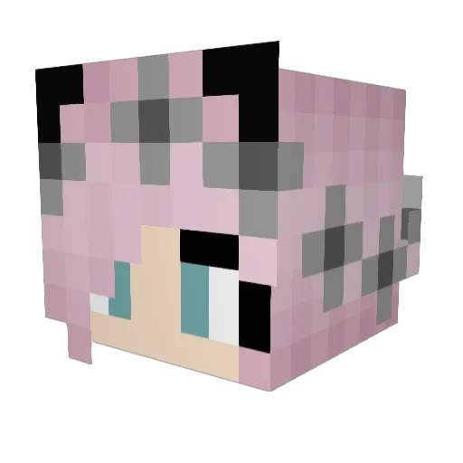 monkeychic9000 Minecraft avatar head, 3D render