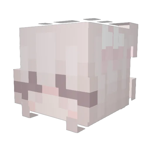 monlightwolf_tay Minecraft avatar head, 3D render
