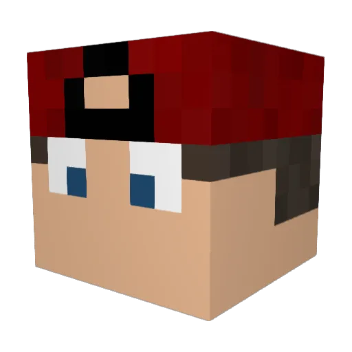 monnegatto Minecraft avatar head, 3D render