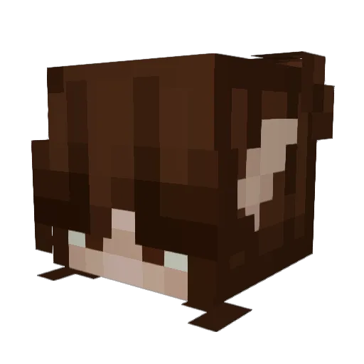 monoeel_ Minecraft avatar head, 3D render