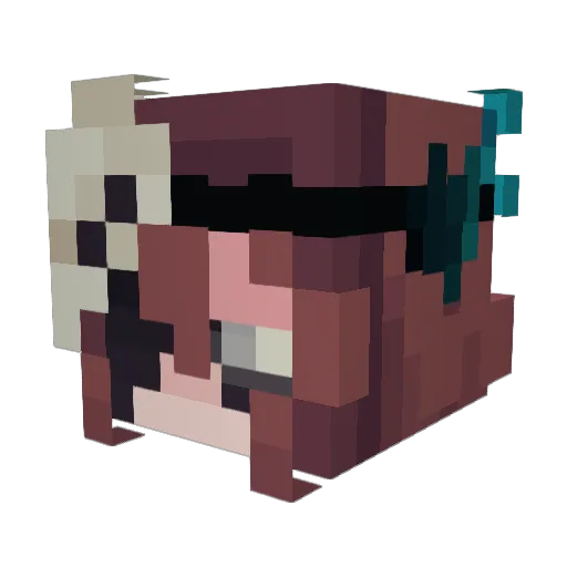 monsieurcapgras Minecraft avatar head, 3D render