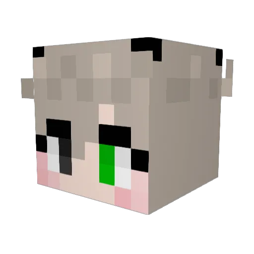 monster0807 Minecraft avatar head, 3D render
