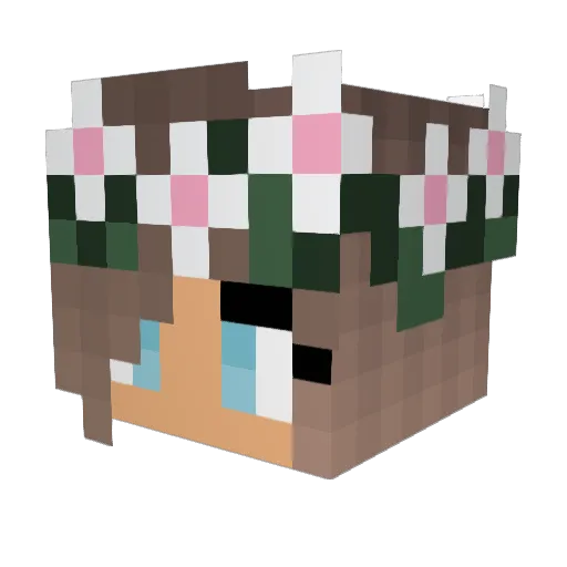 monsterhigh1234 Minecraft avatar head, 3D render