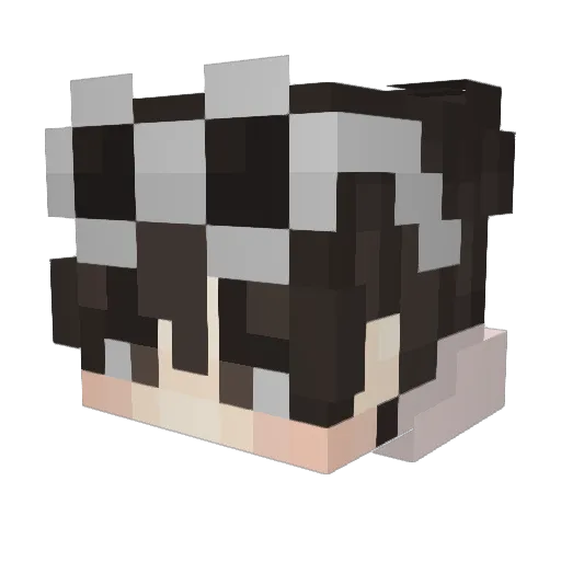 monsucc Minecraft avatar head, 3D render